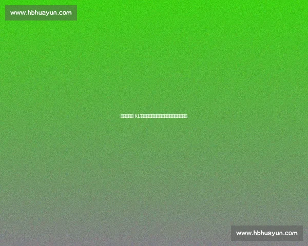 猛龙铁心追 KD！效仿伦纳德模式，豪赌一年冲击总冠军